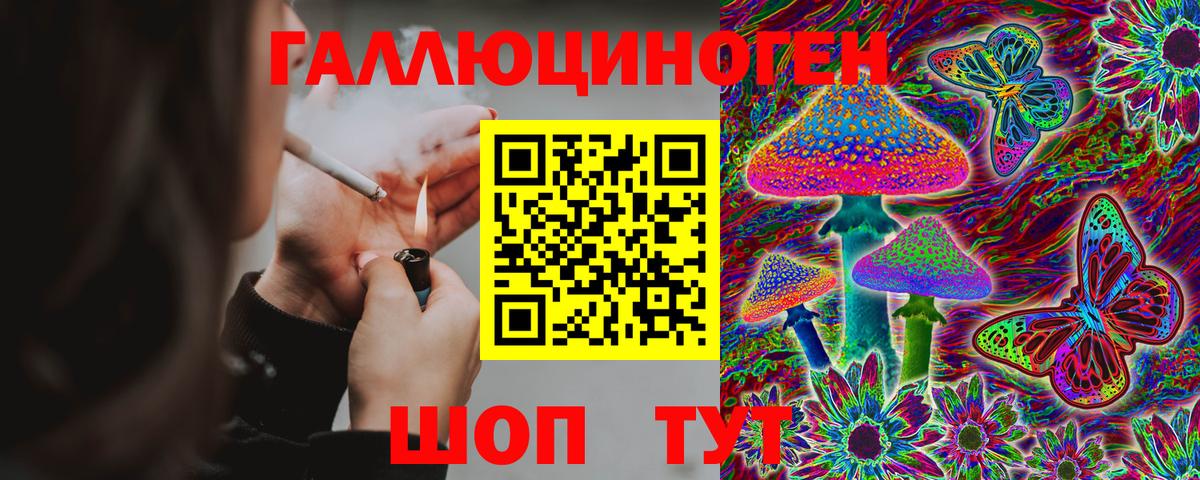 Псилоцибиновые грибы Psilocybe Дальнегорск