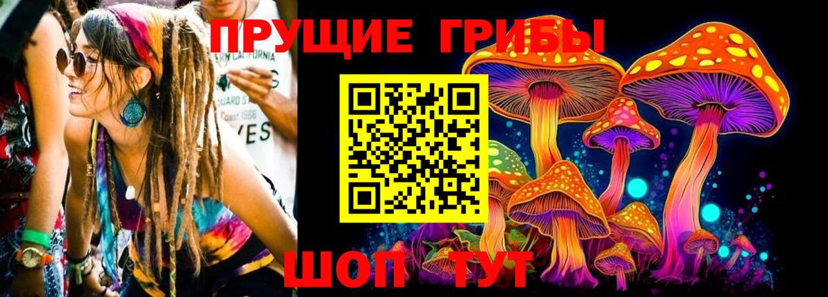 Псилоцибиновые грибы мухоморы  продажа наркотиков  Дальнегорск  Вход с VPN  Псилоцибиновые грибы Cubensis 